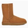 Mujer Ugg Botas Y Botines<Bota Classic Short II Marron