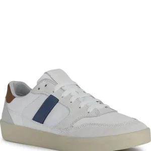 Hombre Geox Zapatillas Deportivas<Zapatillas Affile