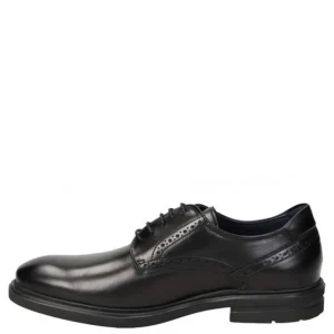 Hombre Fluchos Zapatos Cerrados<Blucher Belgas F0630
