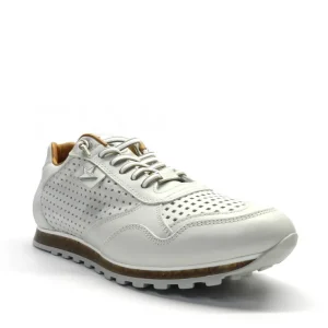 Hombre Cetti Zapatos Cerrados | Zapatillas Deportivas<Zapatillas Sweet Off Hielo